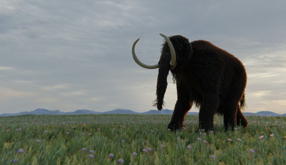 Woolly Mammoth