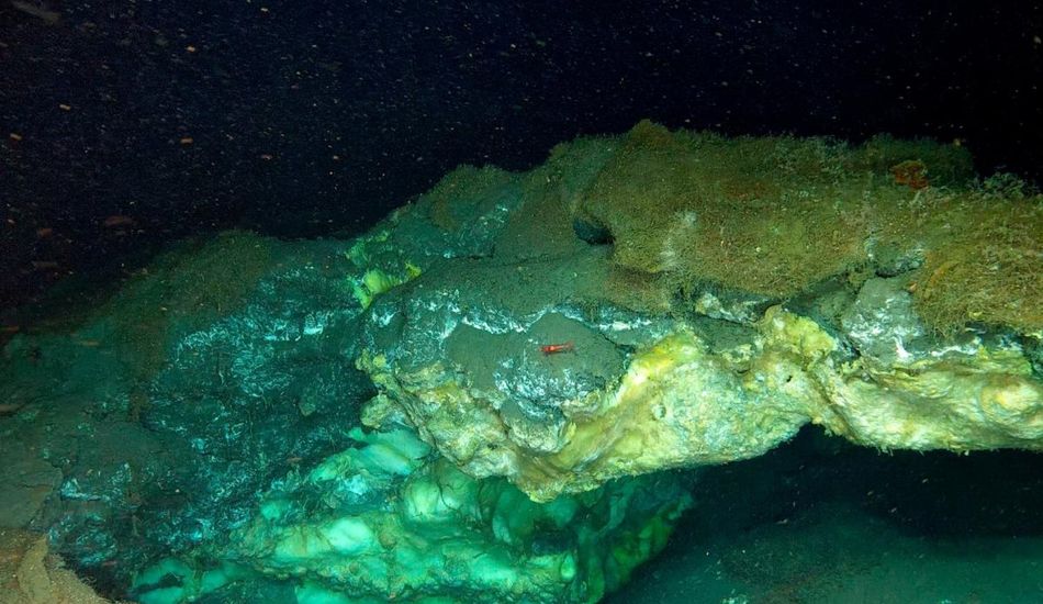 Arctic Vents