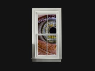 thumbnail - Privacy Laws