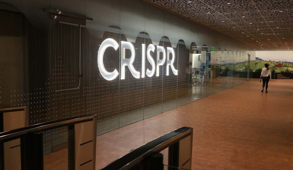 CRISPR, Malaria