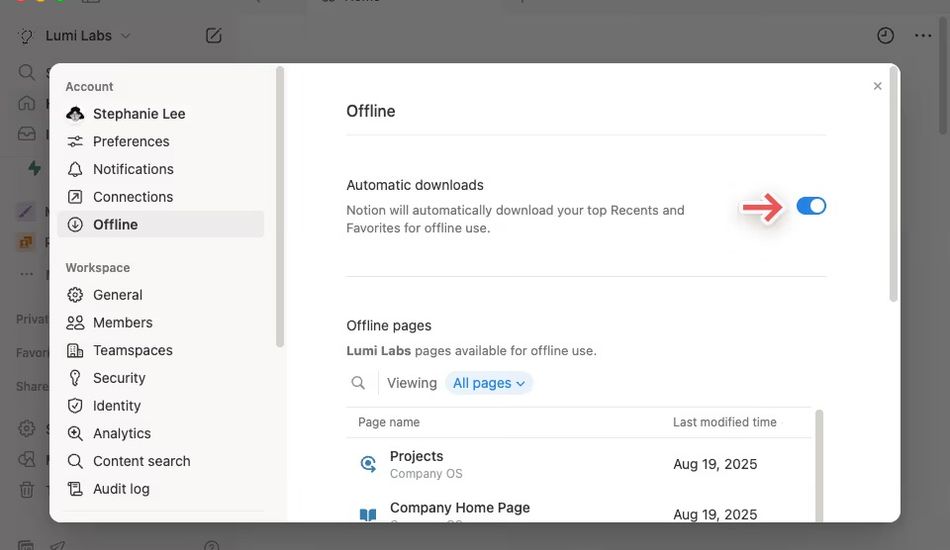 Notion Offline